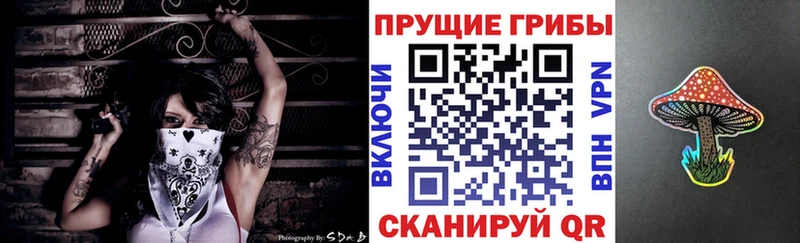 Псилоцибиновые грибы Psilocybine cubensis Перевоз
